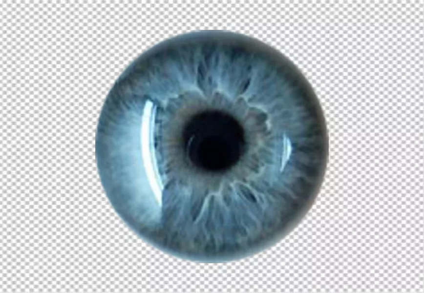 Free Premium PNG Human eye isolated on a transparent background Realistic Eyeball with a blue retina closeup
